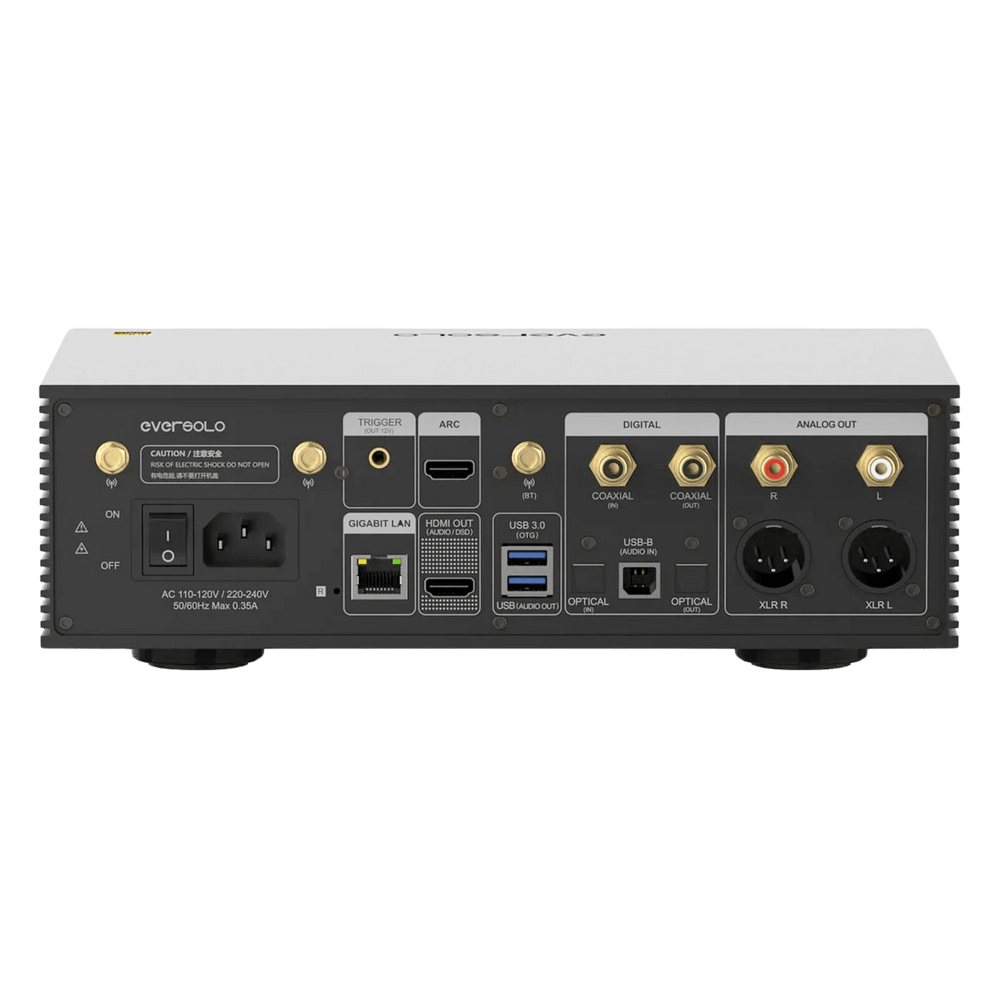EverSolo DMP - A6 Gen 2 - Cool Kids Audio