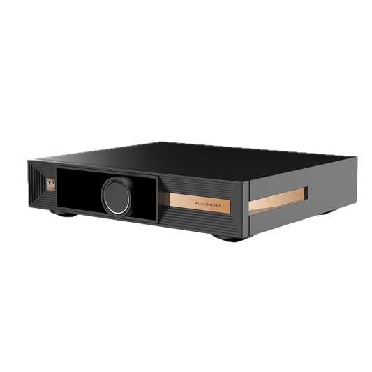 SMSL VMV A1 PRO - Cool Kids Audio