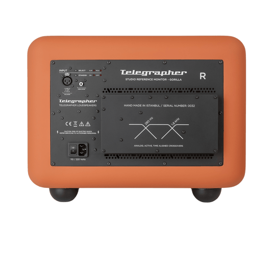 Telegrapher Gorilla - Cool Kids Audio